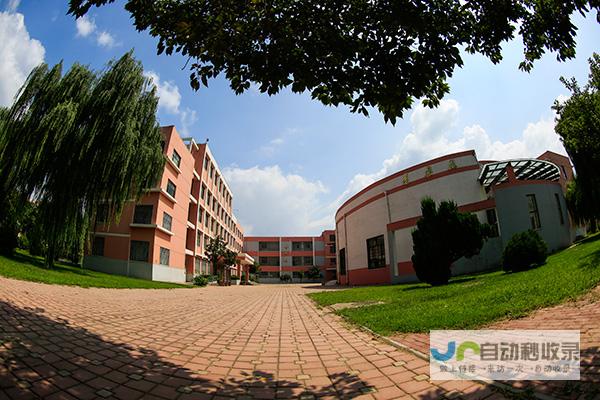 濮阳专业网站定制：打造专属数字营销平台，引爆市场增长
