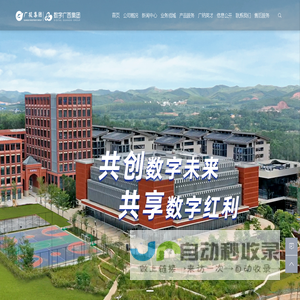 数字广西集团有限公司